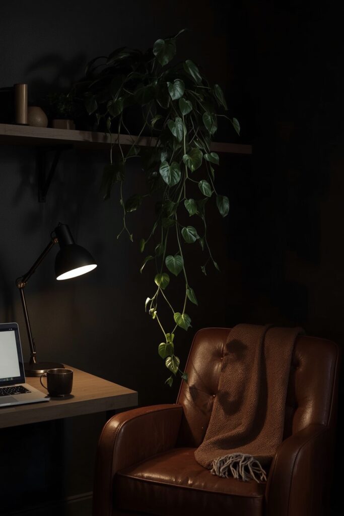 Philodendron (as a low-light purifier)