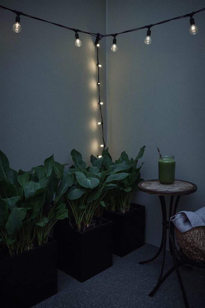 Turnips in Low-Light Patio Corners