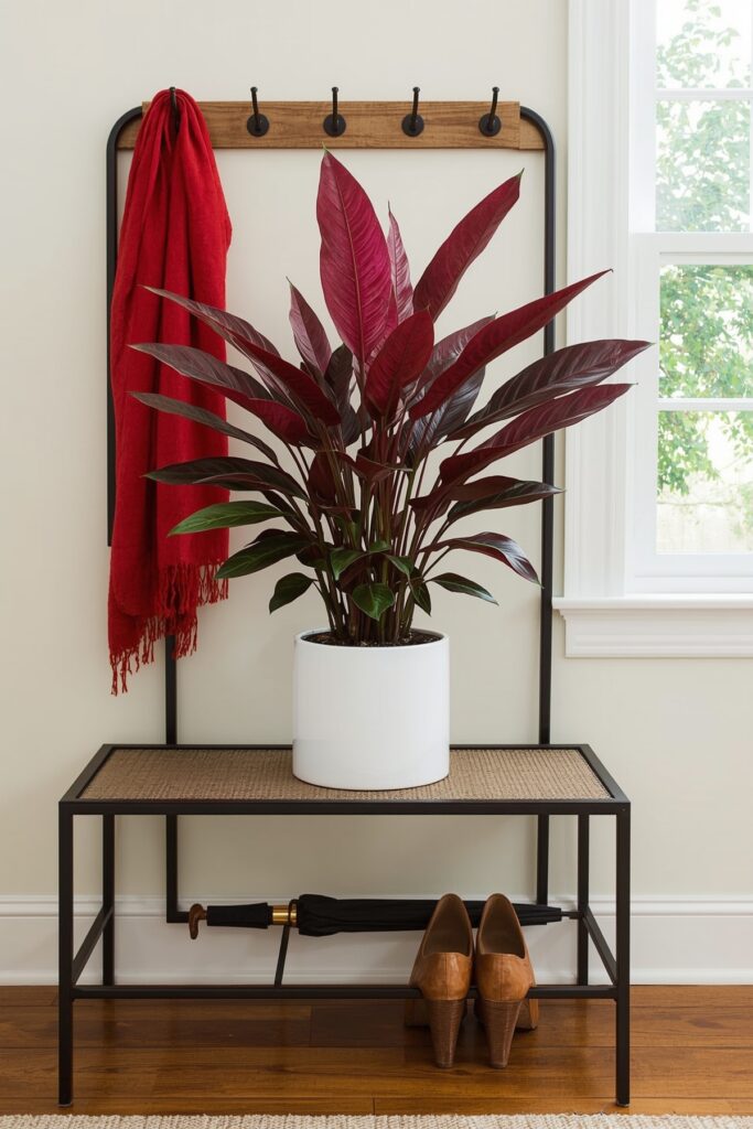 Aglaonema (stylish and purifying)
