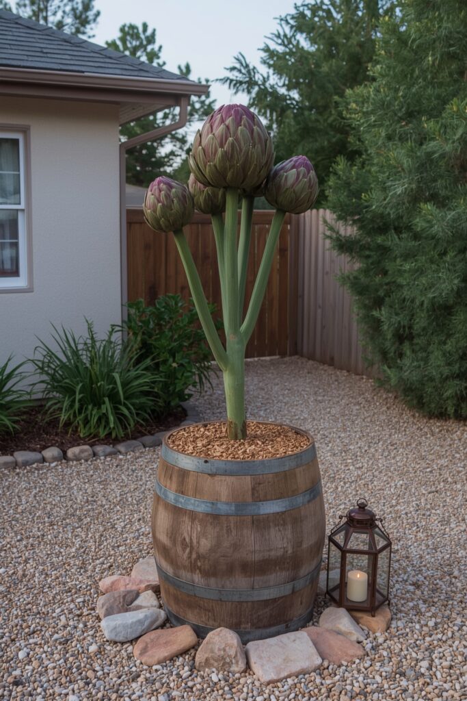 Globe Artichokes as a Centerpiece Plant