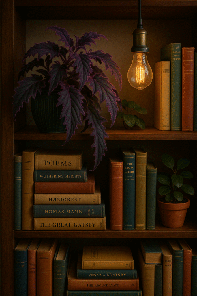 Purple Passion Plant