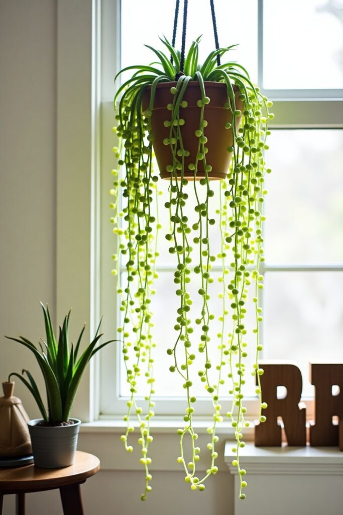 String of Pearls