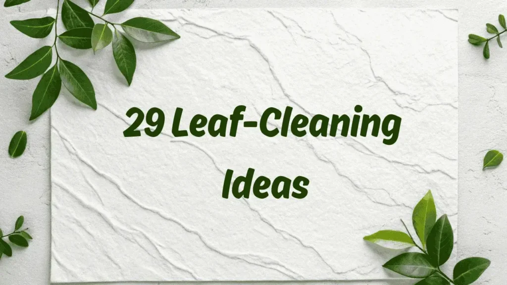 Clean Plant Leaves Properly