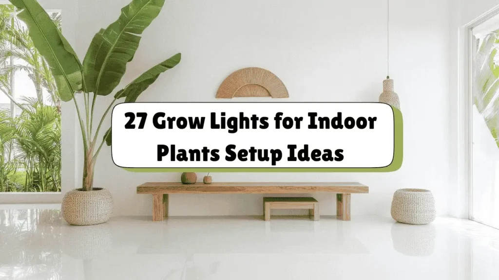 Grow Lights for Indoor Plants Setup