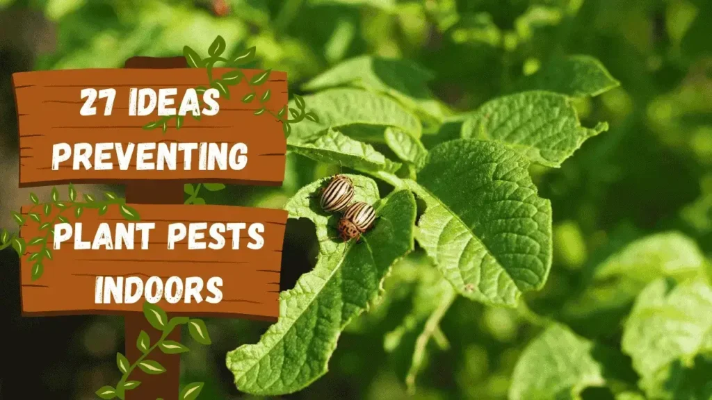 Preventing Plant Pests Indoors